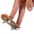 اسکیت انگشتی چوبی تک دک Tech Deck مدل Blind, image 4