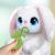 خرگوش بغلی My Fuzzy Friends, تنوع: 18524-Snuggling Bunny, image 7