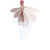 عروسک پرنده Sky Dancer مدل Coral Cutie, تنوع: 30005-Coral Cutie, image 4