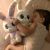 عروسک 30 سانتی خرگوش پولیشی پیکبو سفید, تنوع: 88948-IMC-White, image 8