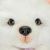 لونا هاپو کوچولوی Little Live Pets, تنوع: Luna-26578, image 7