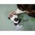 پاندا کوچولوی Pamper Pets, تنوع: 105950054-Panda, image 5