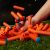 تفنگ نرف Nerf مدل N Series Pinpoint, image 9