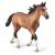 اسب نر مسابقه‌ای استانداردبرد آمریکایی خلیجی, image 