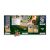 پک کارت بازی Pokemon سری Deluxe Battle Deck مدل Koraidon ex, تنوع: PK290-85830-Koraidon, image 4