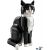 لگو آیدیاز مدل گربه تاکسیدو (21349), image 6