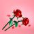 لگو آیکونز مدل گل های رز (40460), image 6