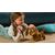 Diggles هاپو رباتیک Animagic, تنوع: 923207006-Diggles, image 4