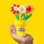 ست خمیربازی گل آفتابگردان و بابونه Play Doh, تنوع: G2479-Sunflowers, image 3