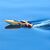قایق کنترلی Sea Hawk با مقیاس 1:36, image 2