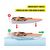قایق کنترلی Sea Hawk با مقیاس 1:36, image 9