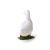 مرغابی سفید, image 3
