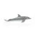 دلفین پوزه‌بطری, image 2