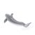 دلفین پوزه‌بطری, image 4