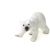 بچه خرس قطبی - ایستاده, image 3