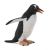 پنگوئن جنتو, image 