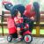 سه چرخه 4 حالته (10 تا 36 ماه) Smartrike Swing Delux, image 3