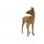 گوزن قرمز ماده, image 2