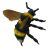 زنبور مخملی, image 2