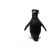 پنگوئن صخره‌پر, image 3