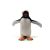 پنگوئن جنتو, image 3
