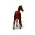 کره اسب تروبرد کُرَنگ - ایستاده, image 3