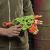 تفنگ نرف Nerf مدل Zombie Strike Alternator, image 6