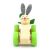 ماشین هویجی چوبی پیکاردو با خرگوش راننده, تنوع: BZ-01-C-PD-Carrot, image 2