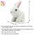 خرگوش رباتیک Hopper, تنوع: ST-PAP10-hopper, image 5