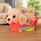 بادی هاپو کوچولوی رباتیک Little Live Pets, تنوع: 26650-Buddy, image 
