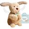 عروسک پولیشی 28 سانتی متحرک هاپو کوچولوی دوست داشتنی من Cuddle Barn, image 