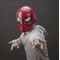 کلاه ویژه اسپایدرمن آهنین سری Marvel Legend, تنوع: F0201-Spider-Man, image 