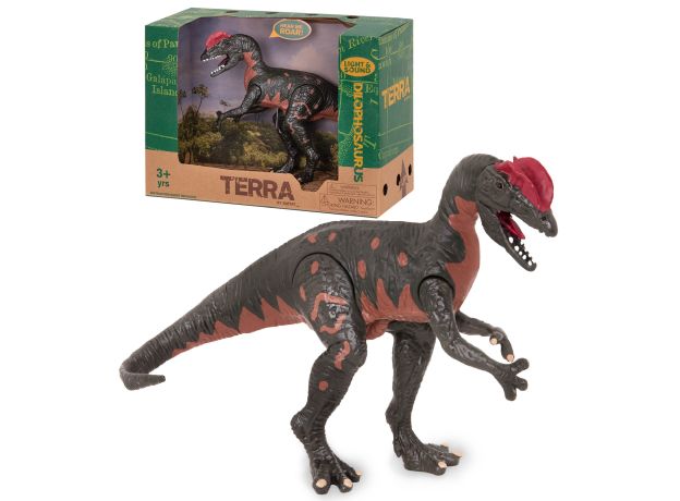 دایناسور دیلوفوسور Terra, تنوع: AN4043Z-Dilophosaurus, image 