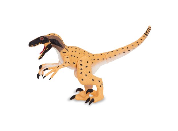 دایناسور یوتارپتر Terra, تنوع: AN4044Z-Utahraptor, image 7