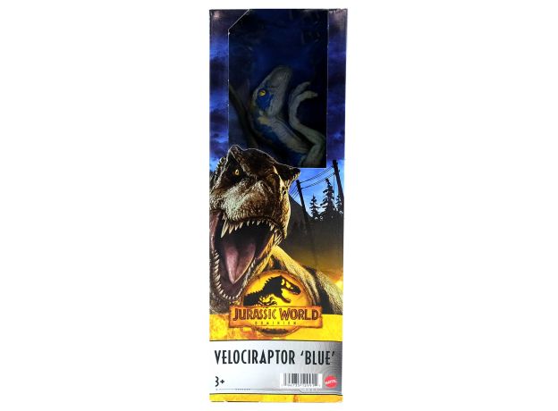 فیگور 35 سانتی Mattel مدل Jurassic World Blue Velociraptor, تنوع: GWT54-Blue Velociraptor, image 5