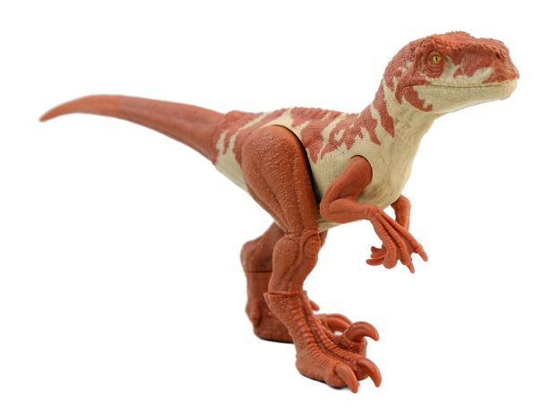 فیگور 35 سانتی Mattel مدل Jurassic World Atrociraptor, تنوع: GWT54-Atrociraptor, image 4