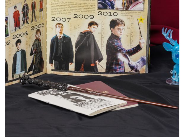 چوب دستی هری پاتر, تنوع: SD50001-Harry Potter, image 6