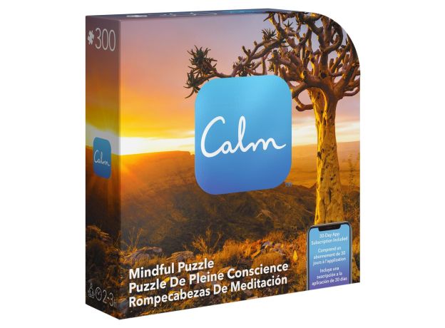 پازل 300 تکه Spin Master طرح درخت در بیابان, تنوع: 6061089-Calm Mindful 1, image 5