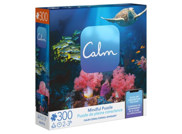پازل 300 تکه Spin Master طرح دریای آرام, تنوع: 6061076-Calm Coral, image 