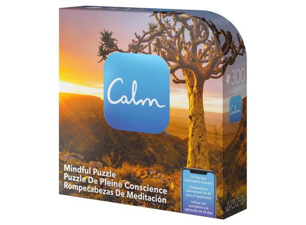 پازل 300 تکه Spin Master طرح درخت در بیابان, تنوع: 6061089-Calm Mindful 1, image 