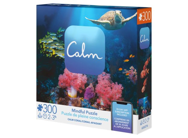 پازل 300 تکه Spin Master طرح دریای آرام, تنوع: 6061076-Calm Coral, image 7