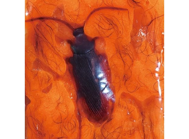 اسلایم پشمالو 330 گرمی مدل نارنجی Oosh Hairy Slime, تنوع: 8668-orange, image 6