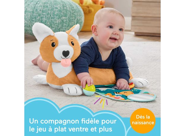 عروسک هاپو کوچولوی 3 در 1 Fisher Price, image 6