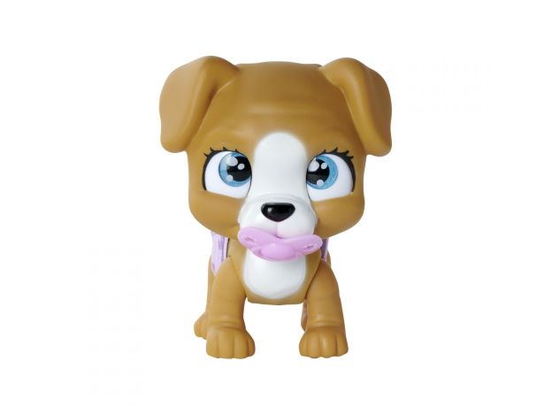 هاپو کوچولوی Pamper Pets, تنوع: 105953050-brown dog, image 6