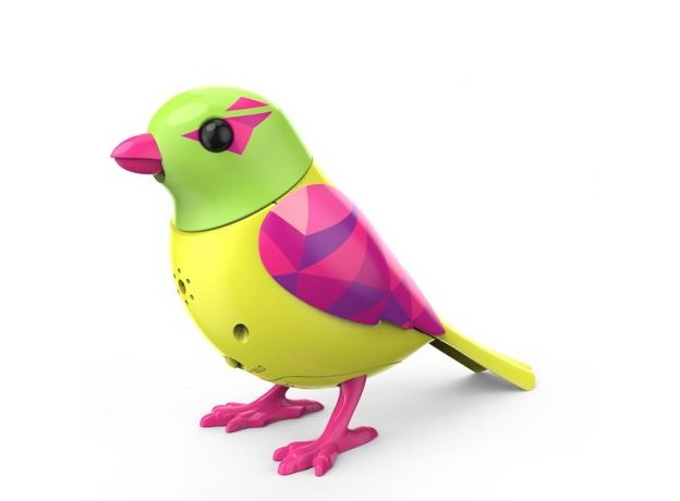 پرنده‌ی آوازه‌خوان DIGIBIRDS در قاب, image 