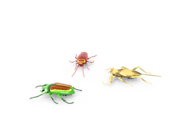 پک سه تایی حشرات رباتیک HEXBUG, image 5
