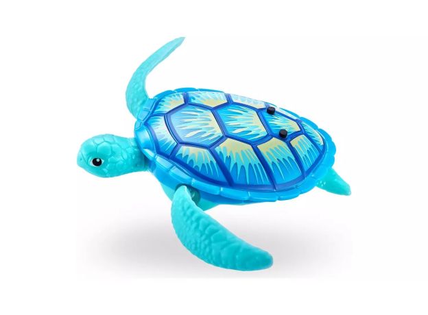 لاک پشت کوچولوی آبی رباتیک روبو ترتل Robo Turtle, تنوع: 7192 - Blue, image 8