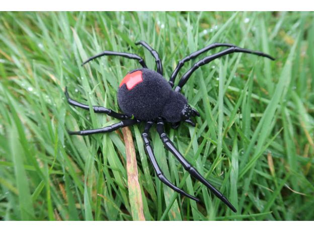 عنکبوت روبو الایو Robo Alive, تنوع: 7151-ZR-Spider, image 8
