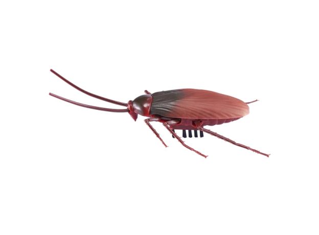 سوسک روبو الایو Robo Alive, تنوع: 7152ZR-Cockroach, image 5