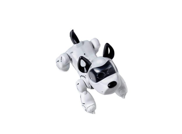 سگ رباتیک پاپبو Pupbo, image 4